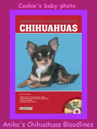 anika's chihuahuas,barron's dog bible- chihuahuas, chihuahuas as pets, books, dogs,images,anika-chihuahuas